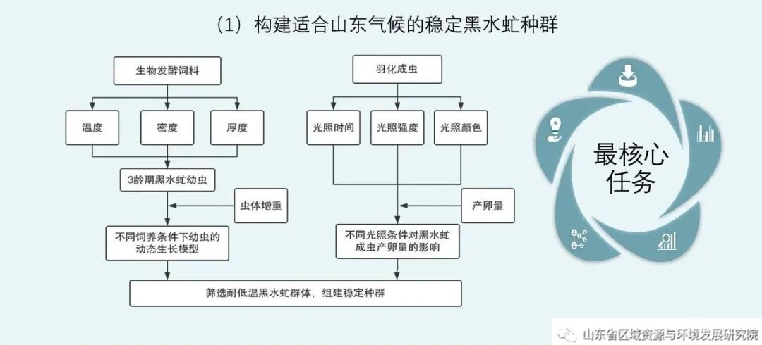 餐厨垃圾黑水虻和酵素发酵二元处理模式的示范应用